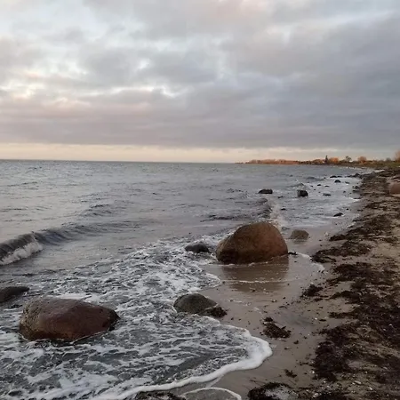 6 Person In * Nordborg Kommune